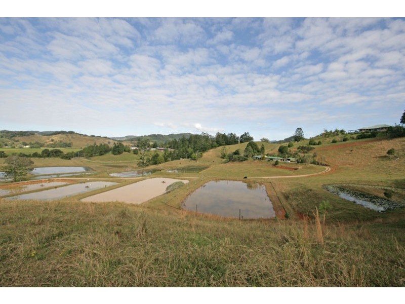 147 Pottsville (Mooball) Road, Pottsville NSW 2489