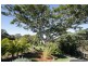 41 Macadamia Drive, Pottsville NSW 2489