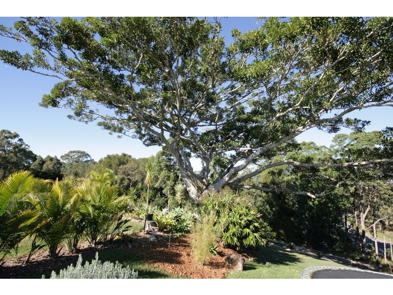 41 Macadamia Drive, Pottsville NSW 2489