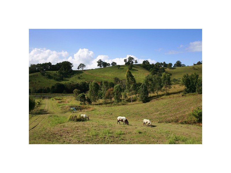 Lot 4 Spring Valley (Cudgera Creek) Road, Pottsville NSW 2489