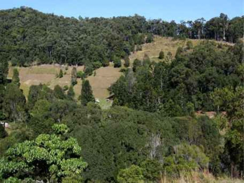 Lot 2 Palmvale Road, Palmvale NSW 2484