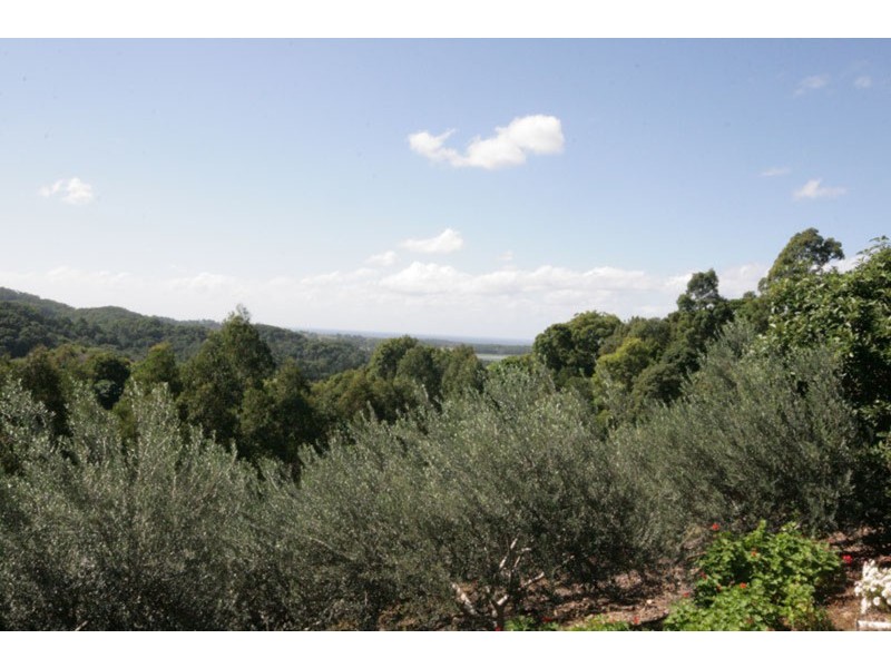 315 Pottsville Road, Mooball NSW 2483