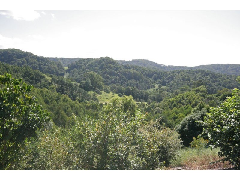 315 Pottsville Road, Mooball NSW 2483