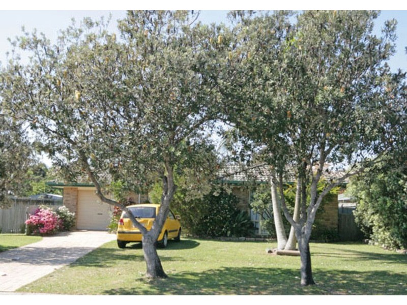 87 Andrew Avenue, Pottsville NSW 2489