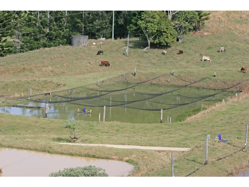 147 Pottsville (Mooball) Road, Pottsville NSW 2489