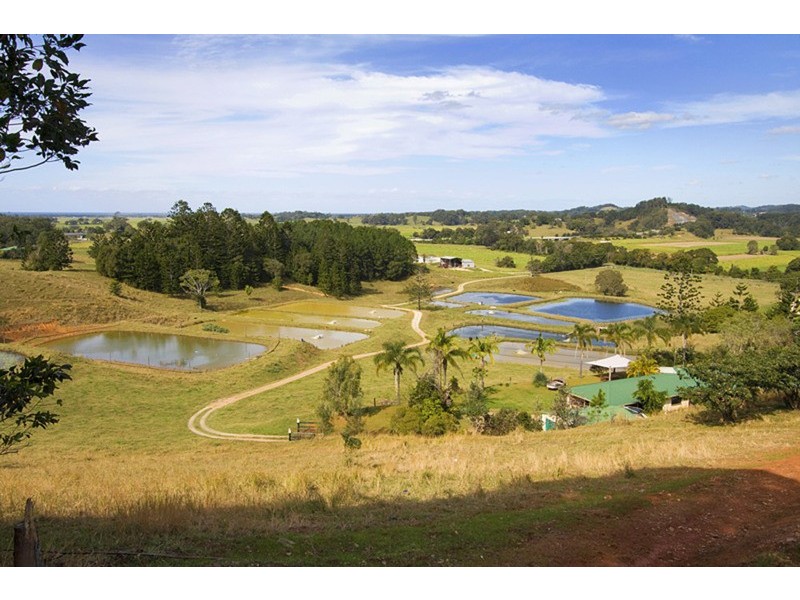 147 Pottsville (Mooball) Road, Pottsville NSW 2489