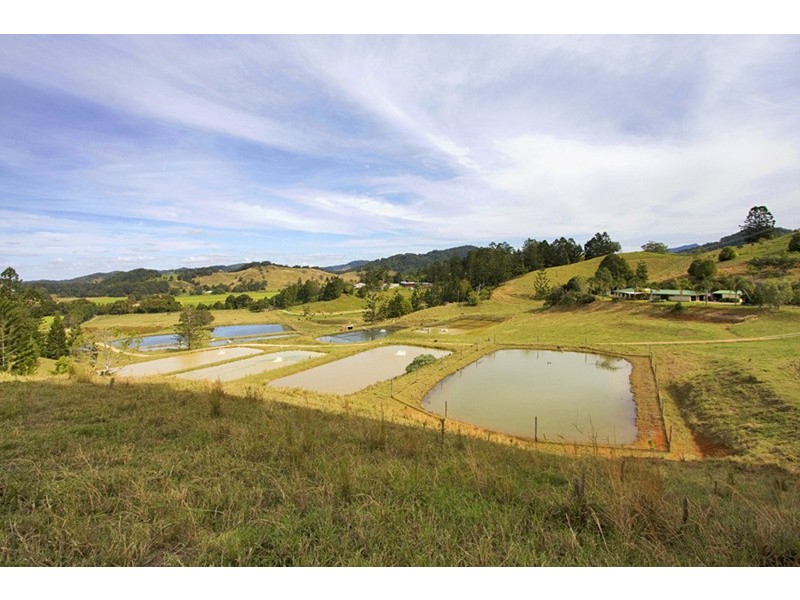 147 Pottsville (Mooball) Road, Pottsville NSW 2489