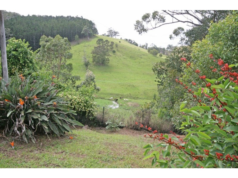 304 Pottsville Mooball Road, Pottsville NSW 2489