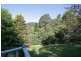 484  Palmvale Road, Palmvale NSW 2484
