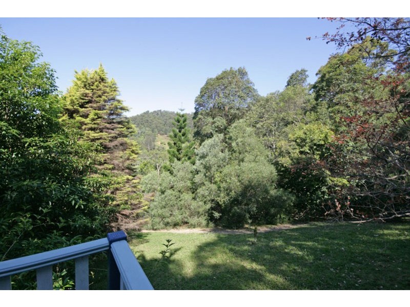 484  Palmvale Road, Palmvale NSW 2484