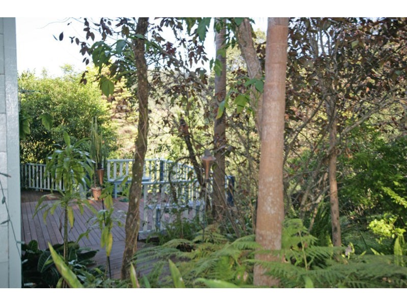 484  Palmvale Road, Palmvale NSW 2484