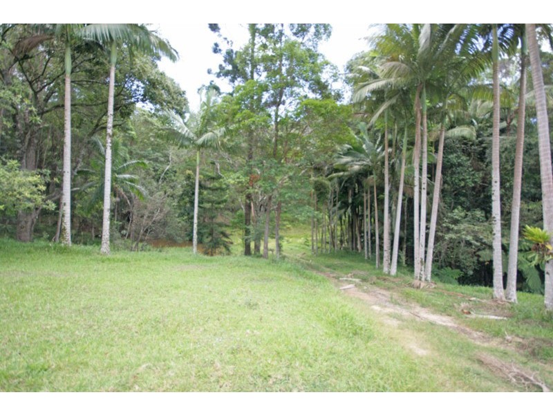 97 Woodfords Road, Reserve Creek NSW 2484