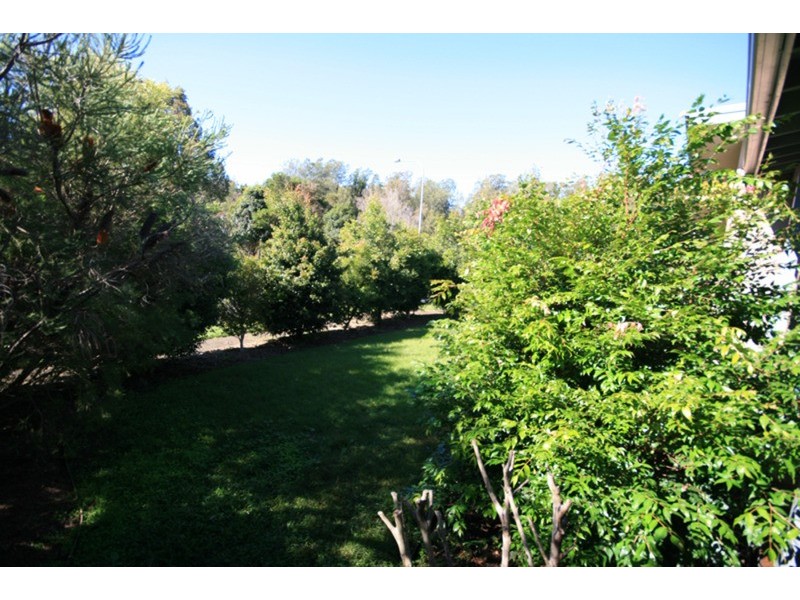 36 Hovea Drive, Pottsville NSW 2489