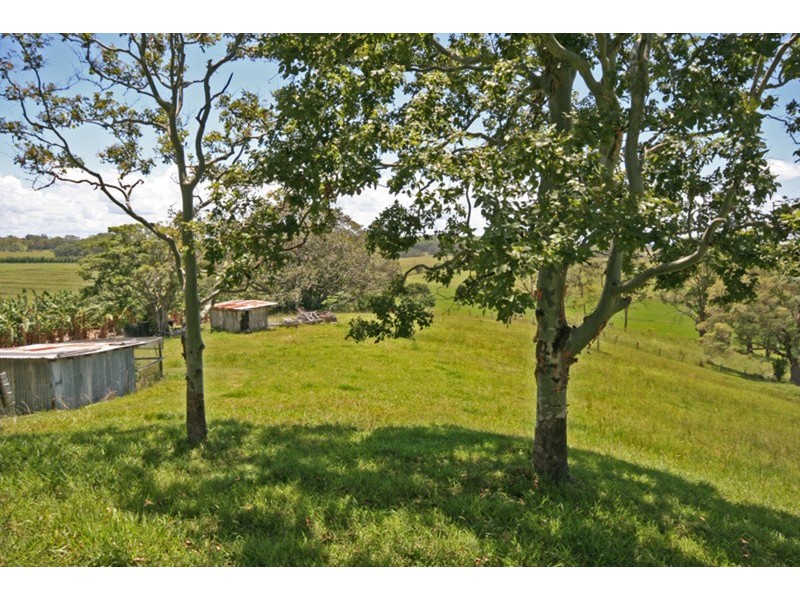 129 Warwick Park Road, Pottsville NSW 2489