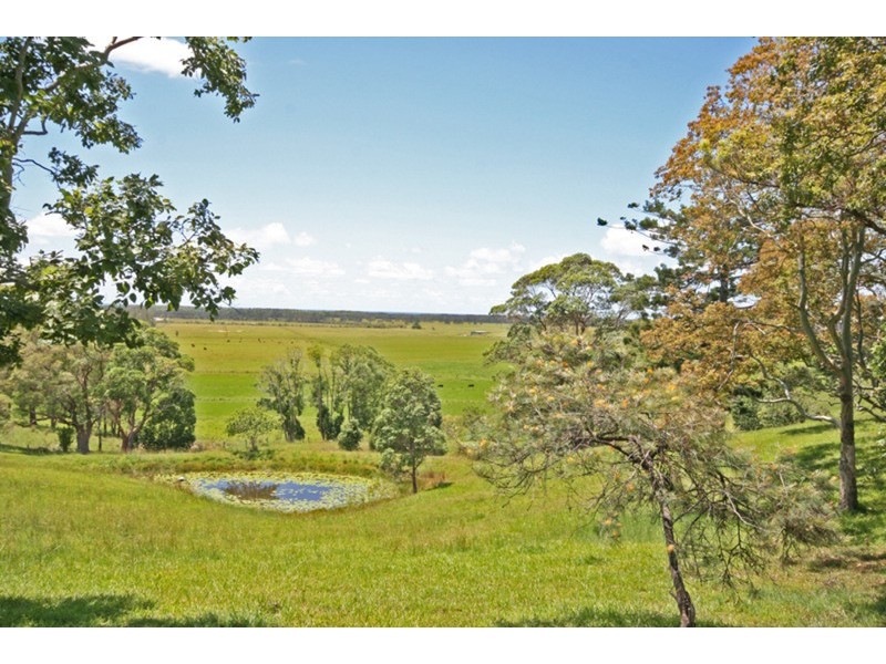 129 Warwick Park Road, Pottsville NSW 2489