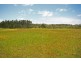 Lot 394 # 183  Overall  Drive, Pottsville NSW 2489