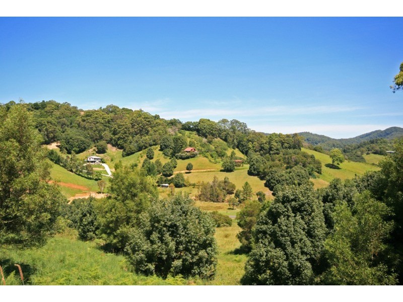 36 Spring Valley Road, Cudgera Creek NSW 2484