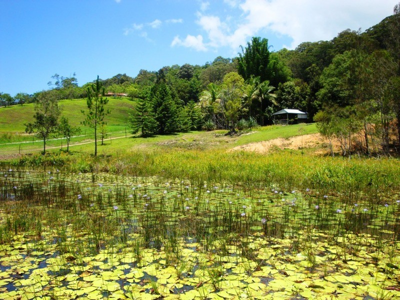 36 Spring Valley Road, Cudgera Creek NSW 2484