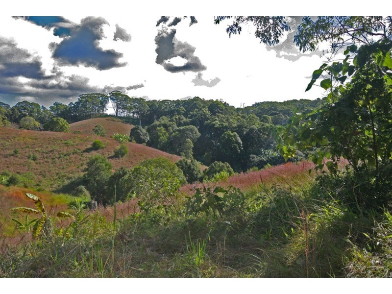 Lot 7  Charlton Lane, Cudgera Creek NSW 2484