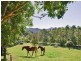 102 Greenvale Court, Burringbar NSW 2483