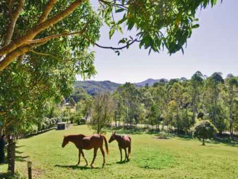 102 Greenvale Court, Burringbar NSW 2483
