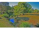6042 Tweed Valley Way, Burringbar NSW 2483