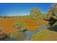 6042 Tweed Valley Way, Burringbar NSW 2483
