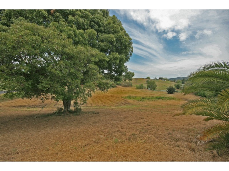 38 Hazelwood Drive, Pottsville NSW 2489