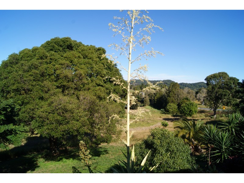 38 Hazelwood Drive, Pottsville NSW 2489