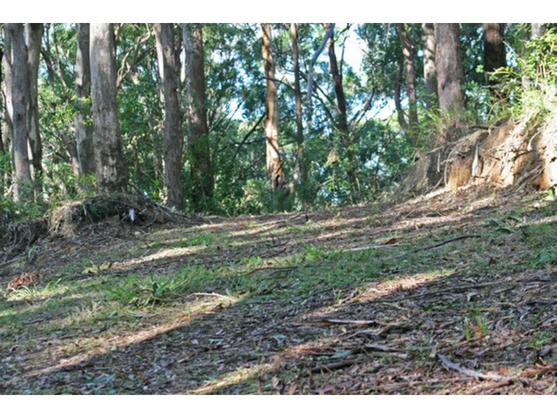 Lot 7 Charlton Lane, Cudgera Creek NSW 2484