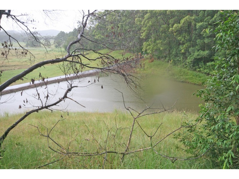 433 Pottsville Road, Sleepy Hollow NSW 2483