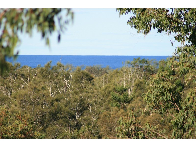 1 Muskheart Circuit, Pottsville NSW 2489