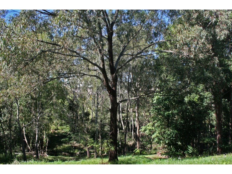 22 Marsupial Drive, Pottsville NSW 2489