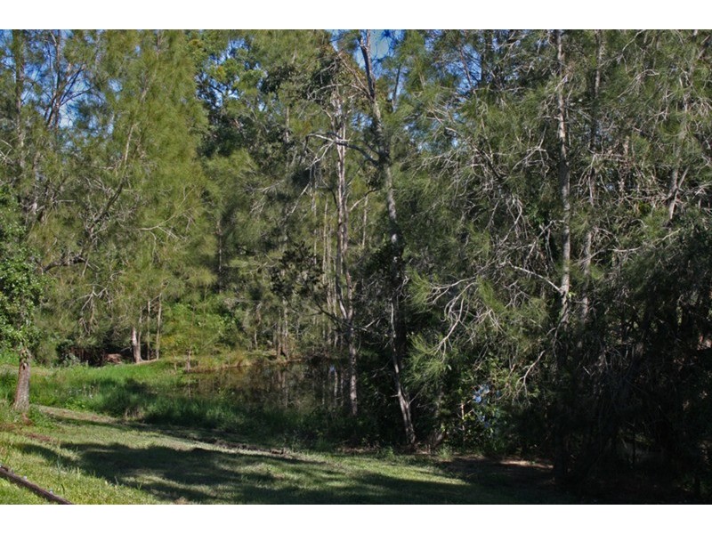 9 Bottlebrush Drive, Pottsville NSW 2489