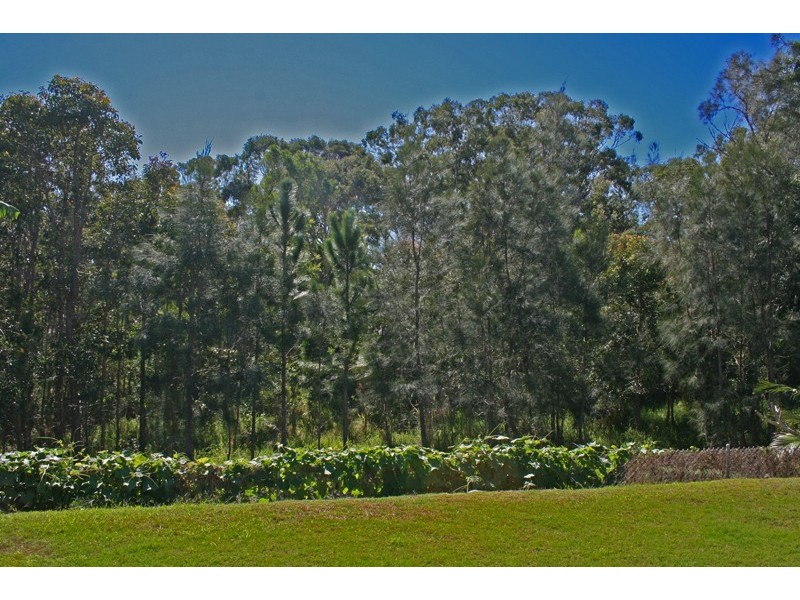 16 Woodfull Crescent, Pottsville NSW 2489