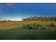1818 Reserve Creek Road, Cudgera Creek NSW 2484