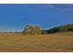1818 Reserve Creek Road, Cudgera Creek NSW 2484