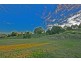 1818 Reserve Creek Road, Cudgera Creek NSW 2484