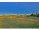 1818 Reserve Creek Road, Cudgera Creek NSW 2484
