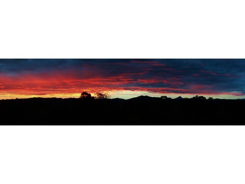 43 Macadamia Drive, Pottsville NSW 2489