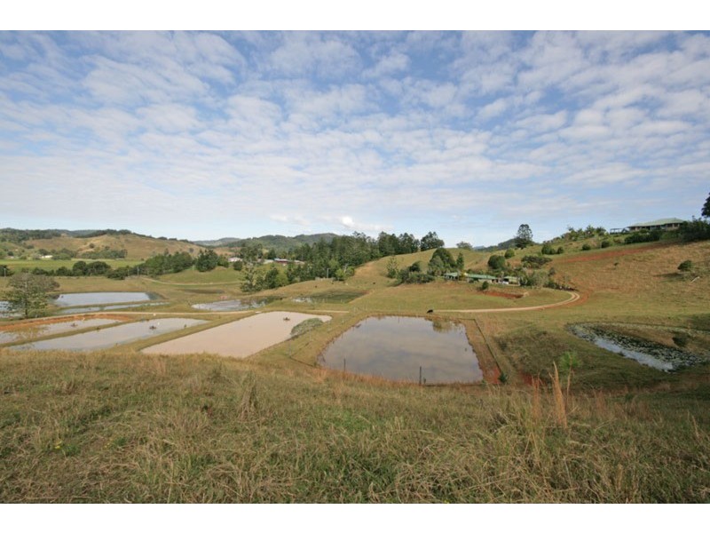 147 Pottsville Road, Mooball NSW 2483