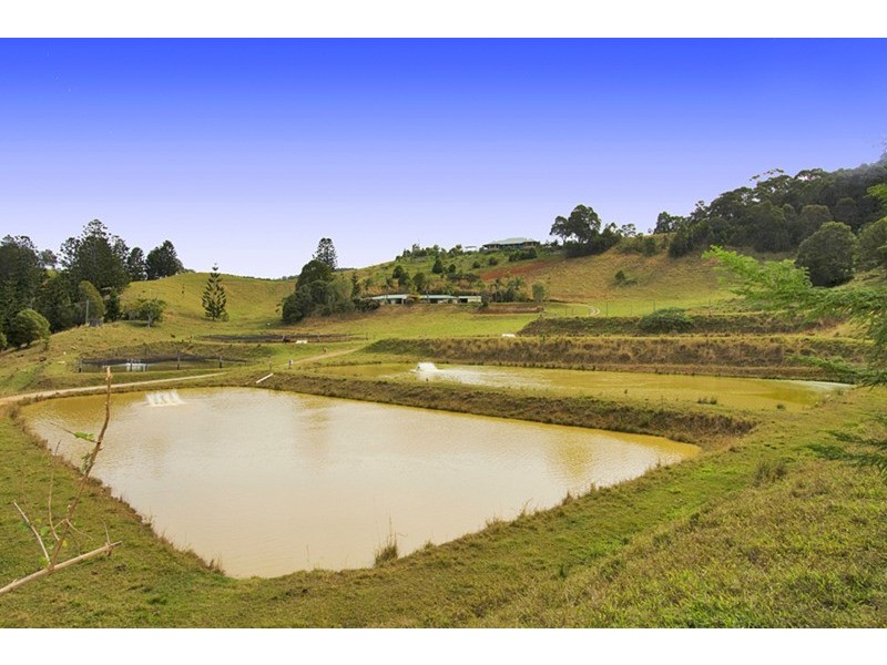 147 Pottsville Road, Mooball NSW 2483