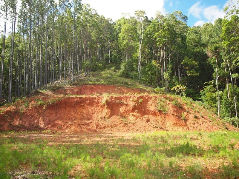 147 Pottsville Road, Mooball NSW 2483