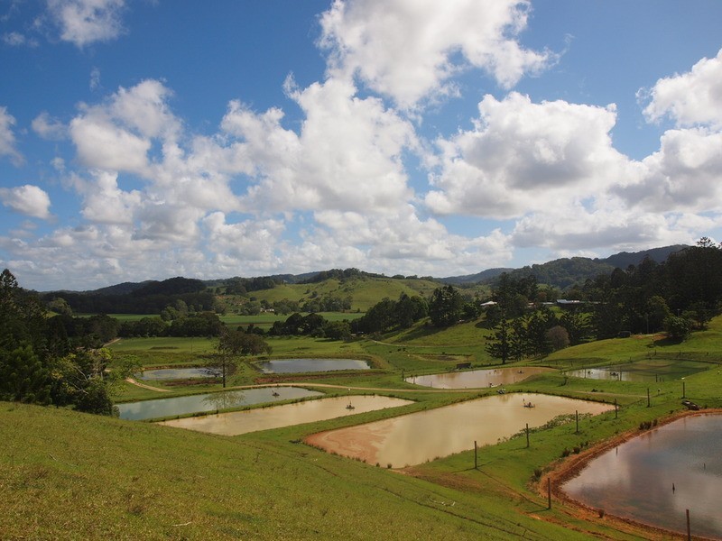 147 Pottsville Road, Mooball NSW 2483