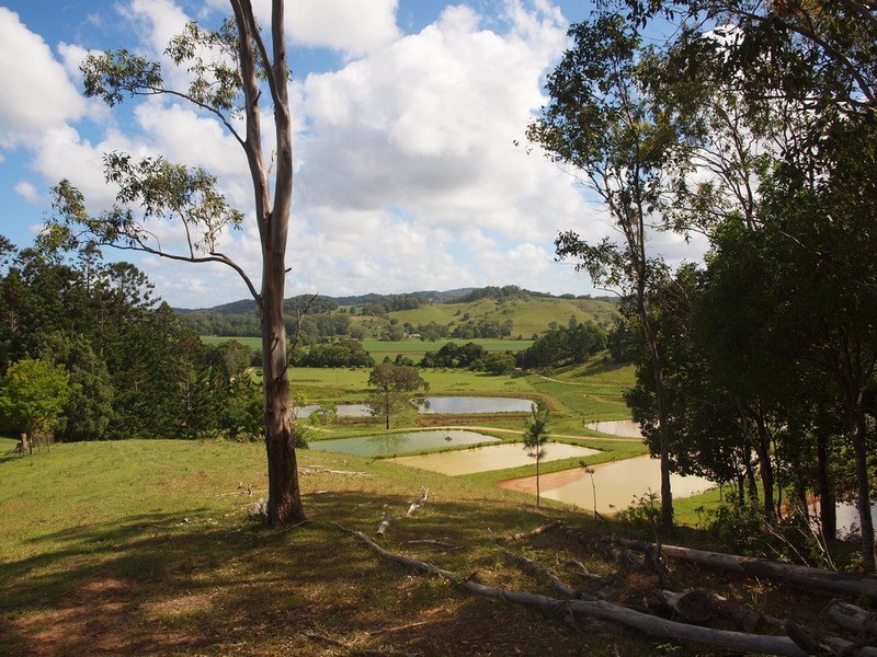 147 Pottsville Road, Mooball NSW 2483