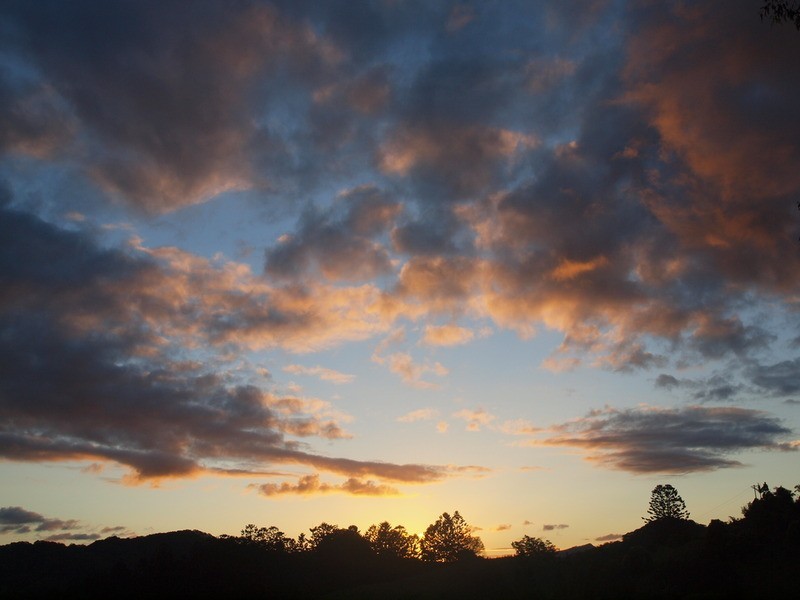 147 Pottsville Road, Mooball NSW 2483