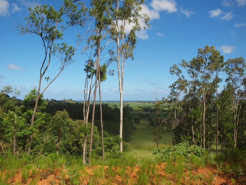 147 Pottsville Road, Mooball NSW 2483