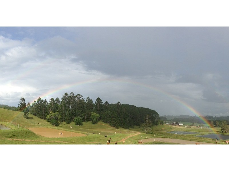 147 Pottsville Road, Mooball NSW 2483