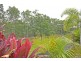 50 Border Crescent, Pottsville NSW 2489