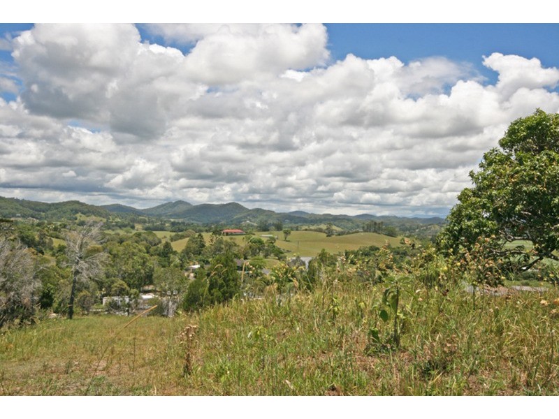 Lot 1/9 Hazelwood Drive, Pottsville NSW 2489